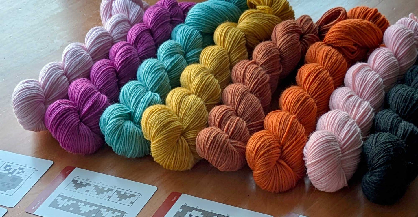 Autumn Joy Sock Kit - Everyday Knits
