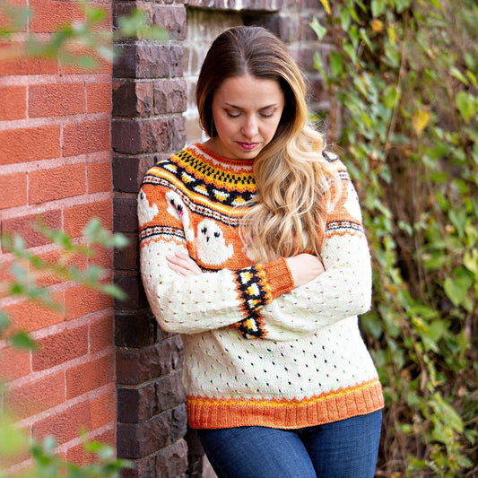 Let's Boo-gie Sweater Yarn